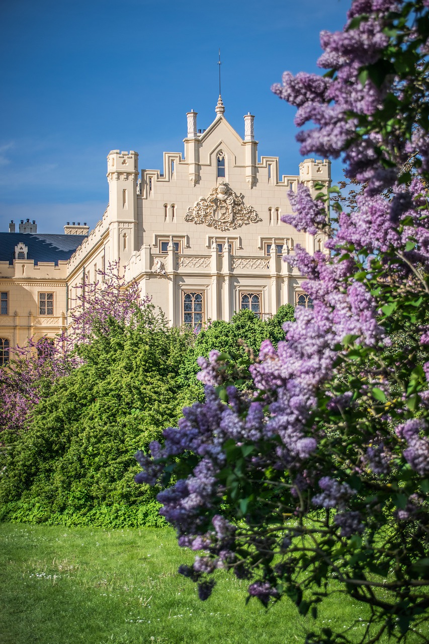 castle  park  architecture free photo