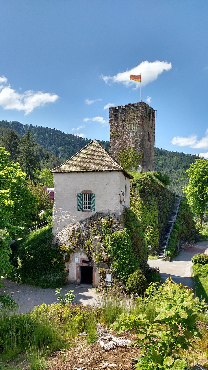 castle  burg  schloss free photo