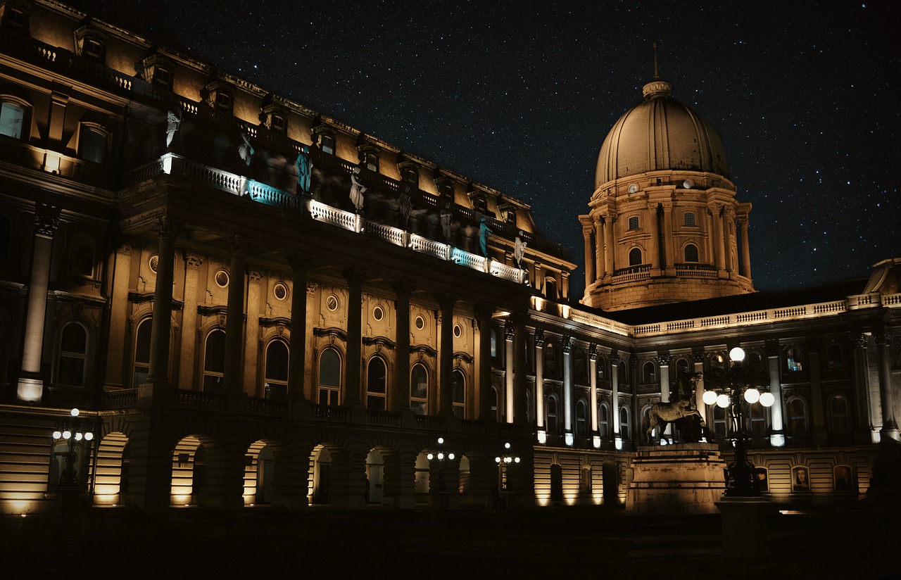 castle  night  budapest free photo