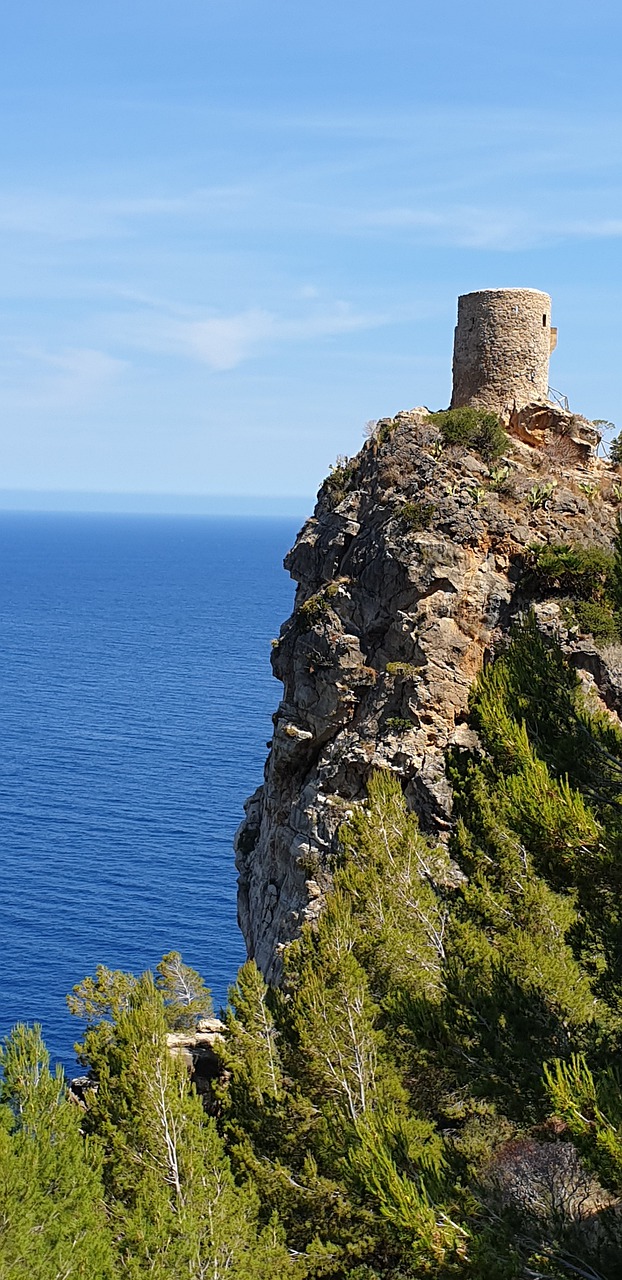 castle  mallorca  architecture free photo