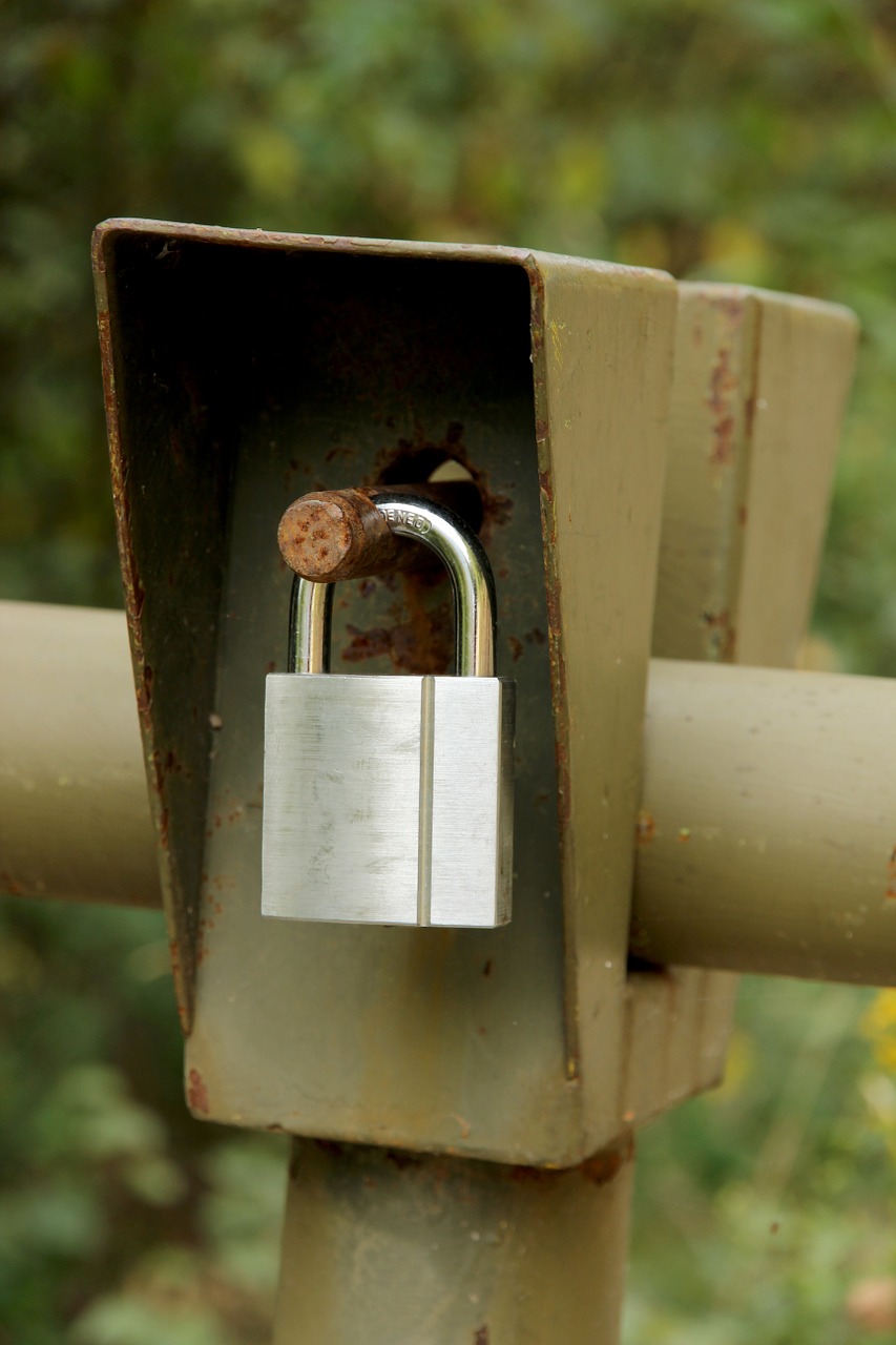 castle closed padlock free photo