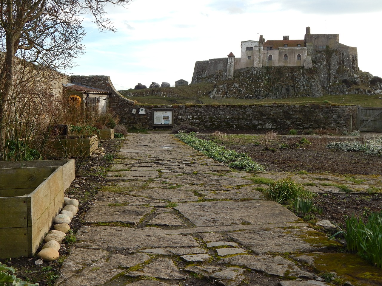 castle anglesey uk free photo