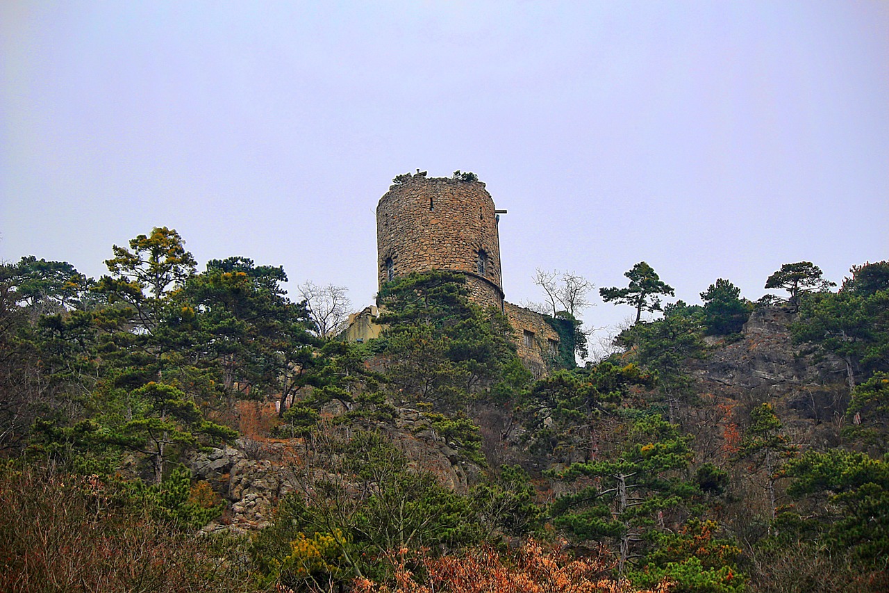 castle black tower fortress free photo