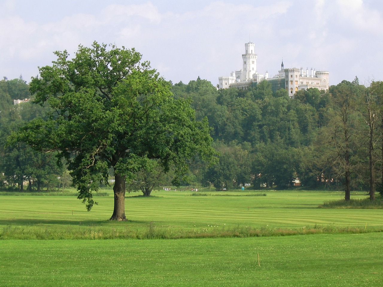 castle tree golf course free photo