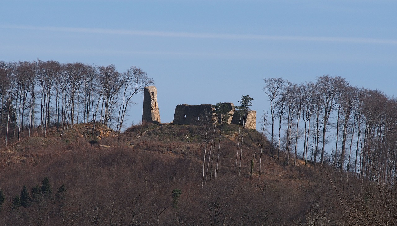 castle breisgau ruin free photo