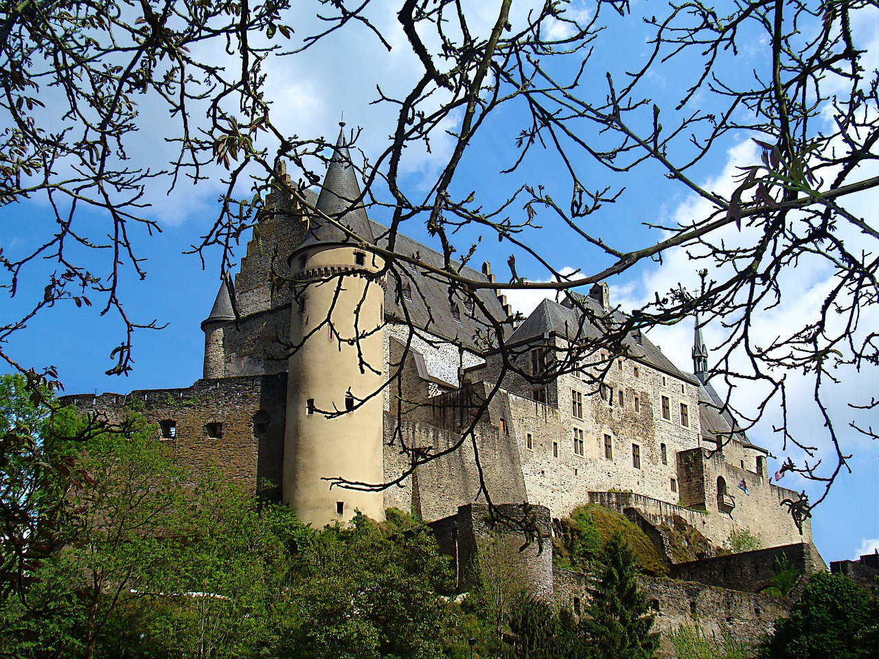 castle building branches free photo