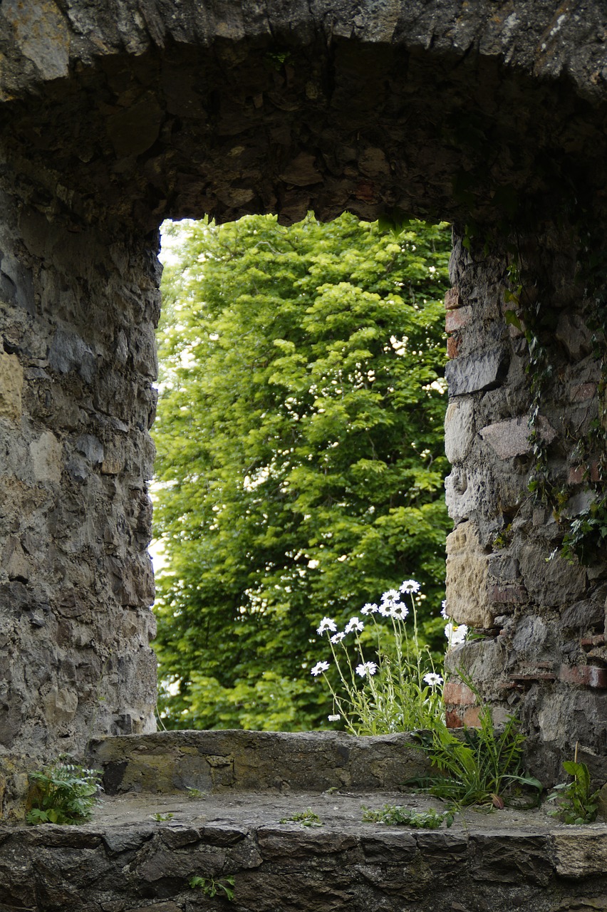 castle ruin middle ages free photo