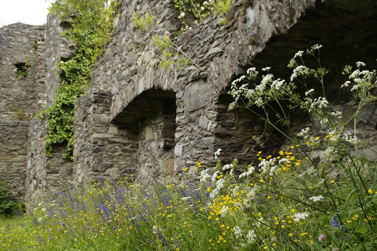 castle ruin middle ages free photo