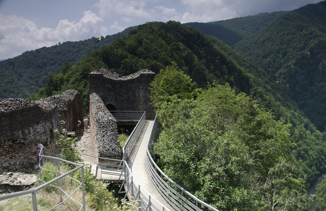 castle dracula cetatea poienari free photo