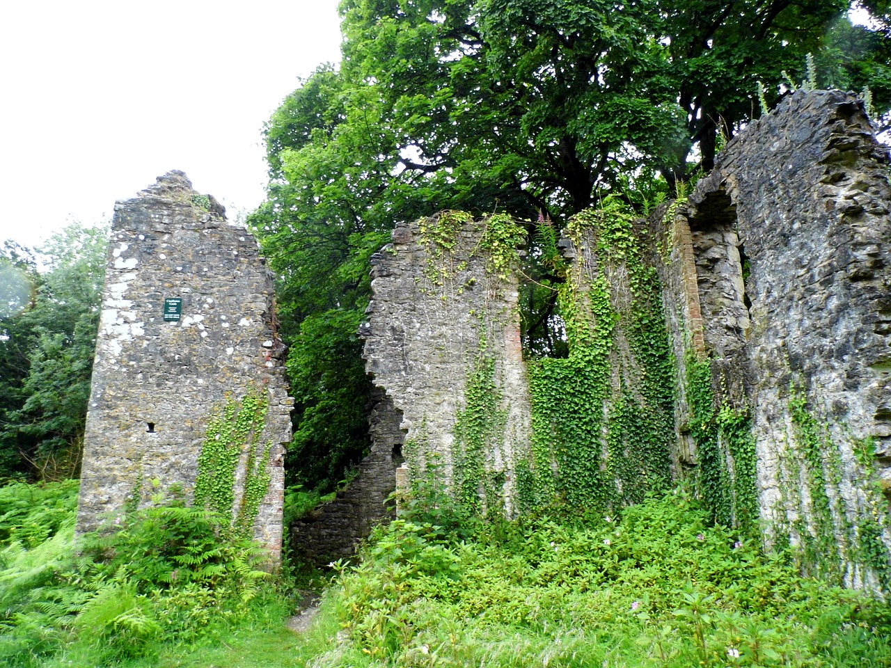 castle overgrown ruins free photo