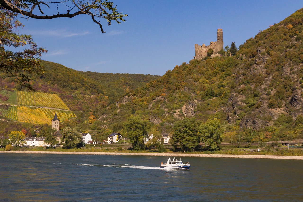 castle mouse castle sachsen free photo