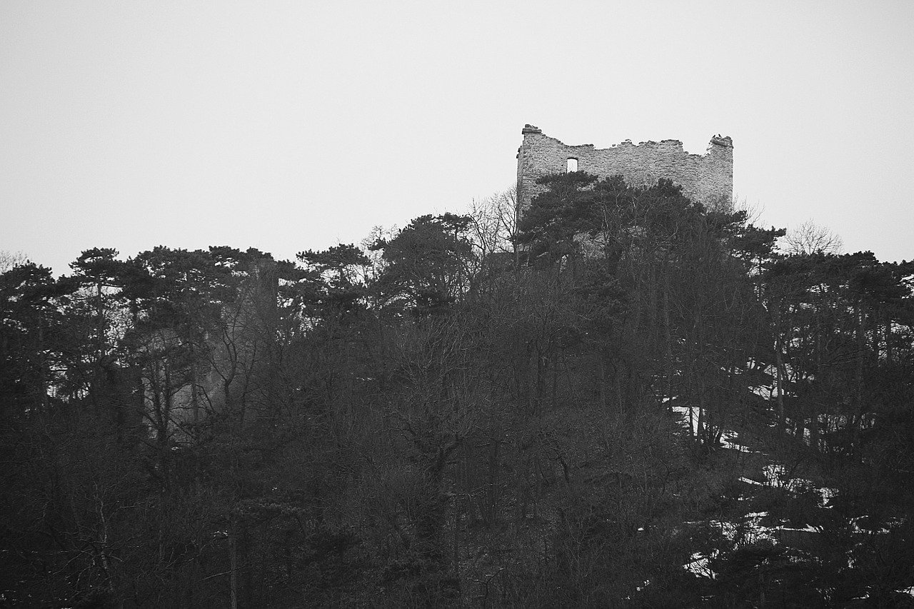 castle of mödling castle knight's castle free photo