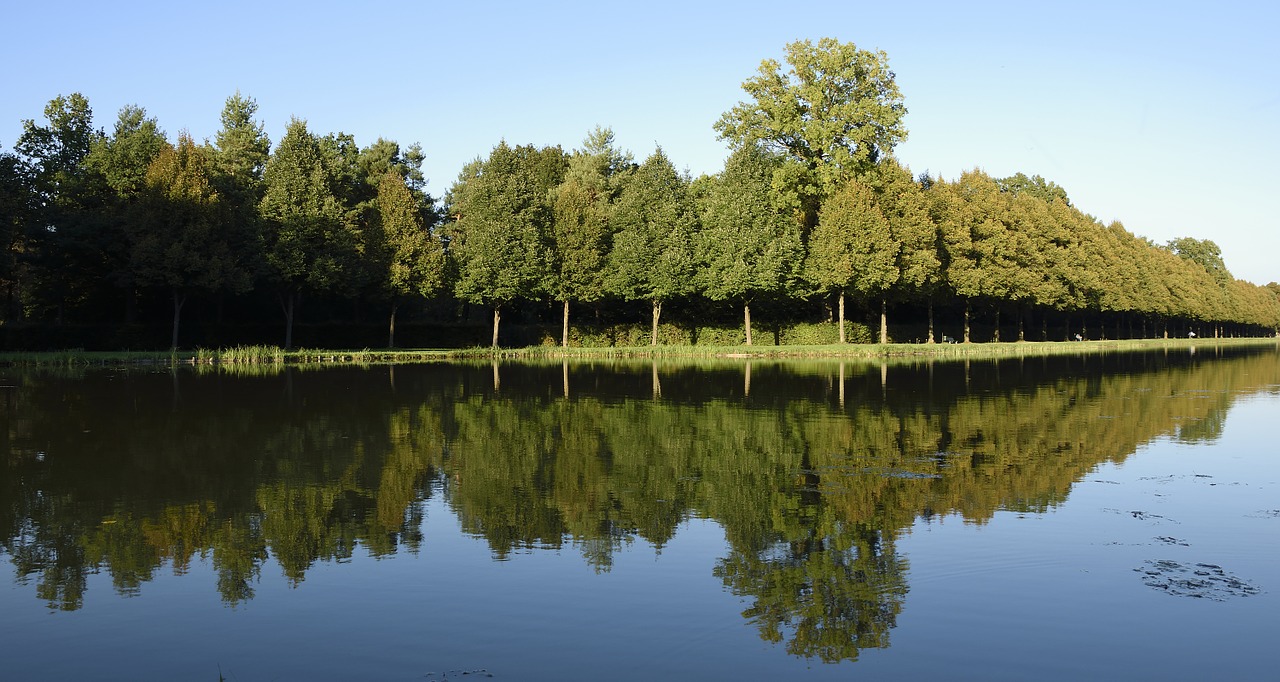 castle park schlossgarten mirroring free photo