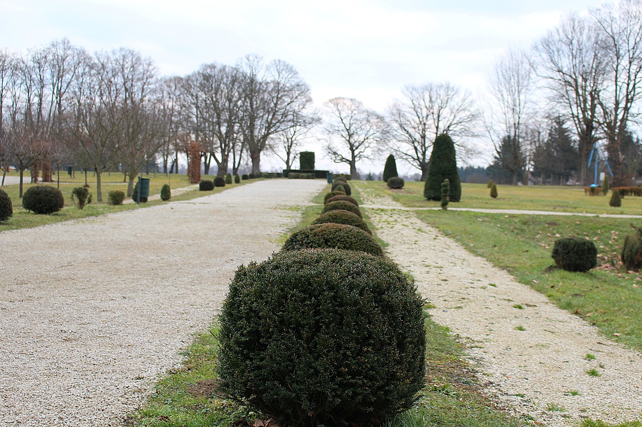 castle park shrubs away free photo