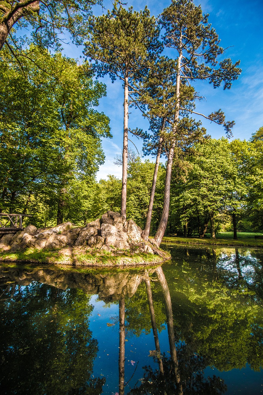 castle park lake castle free photo