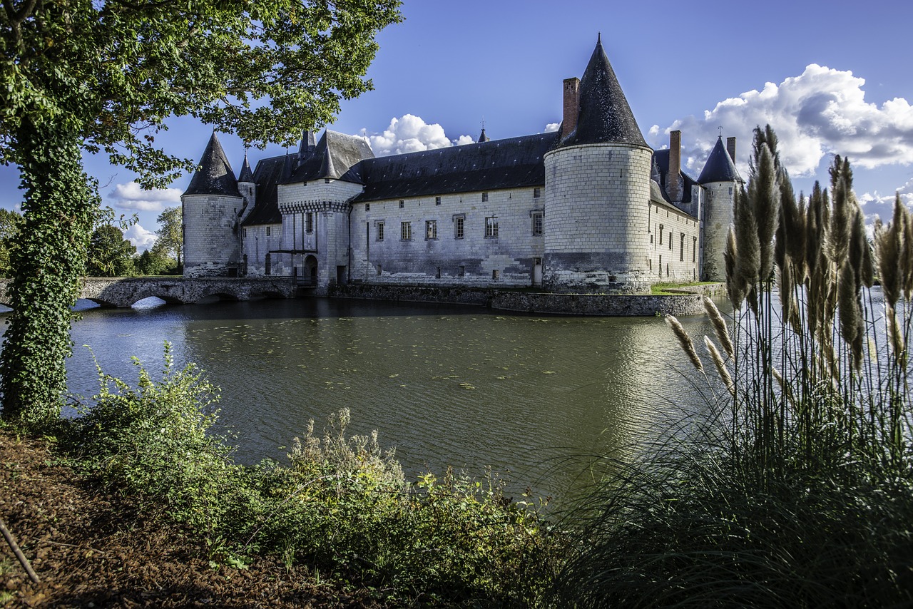 castle plessis-packed medieval middle ages free photo