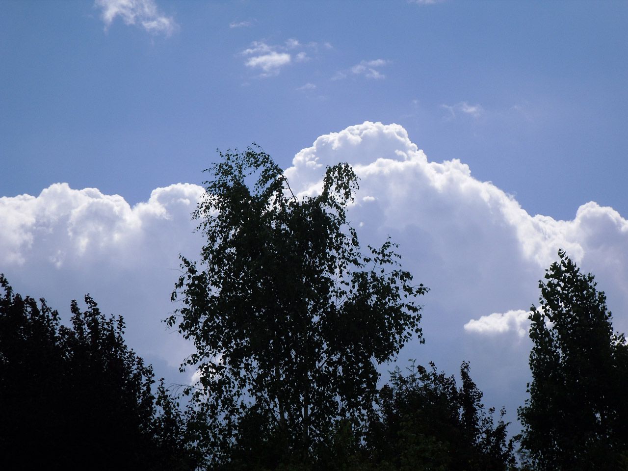 weather cloud cumulus free photo