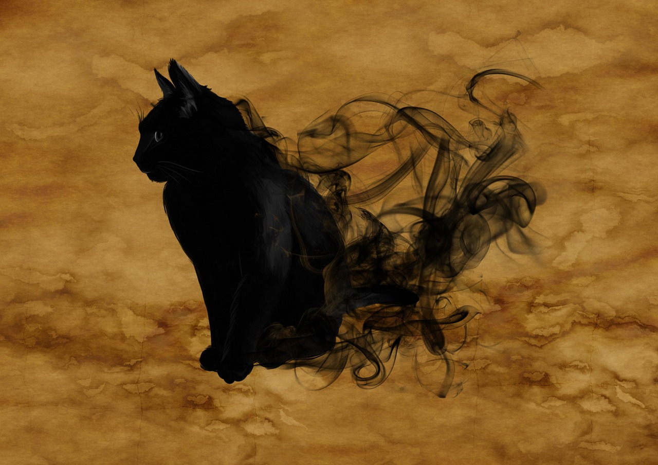 cat surreal silhouette free photo