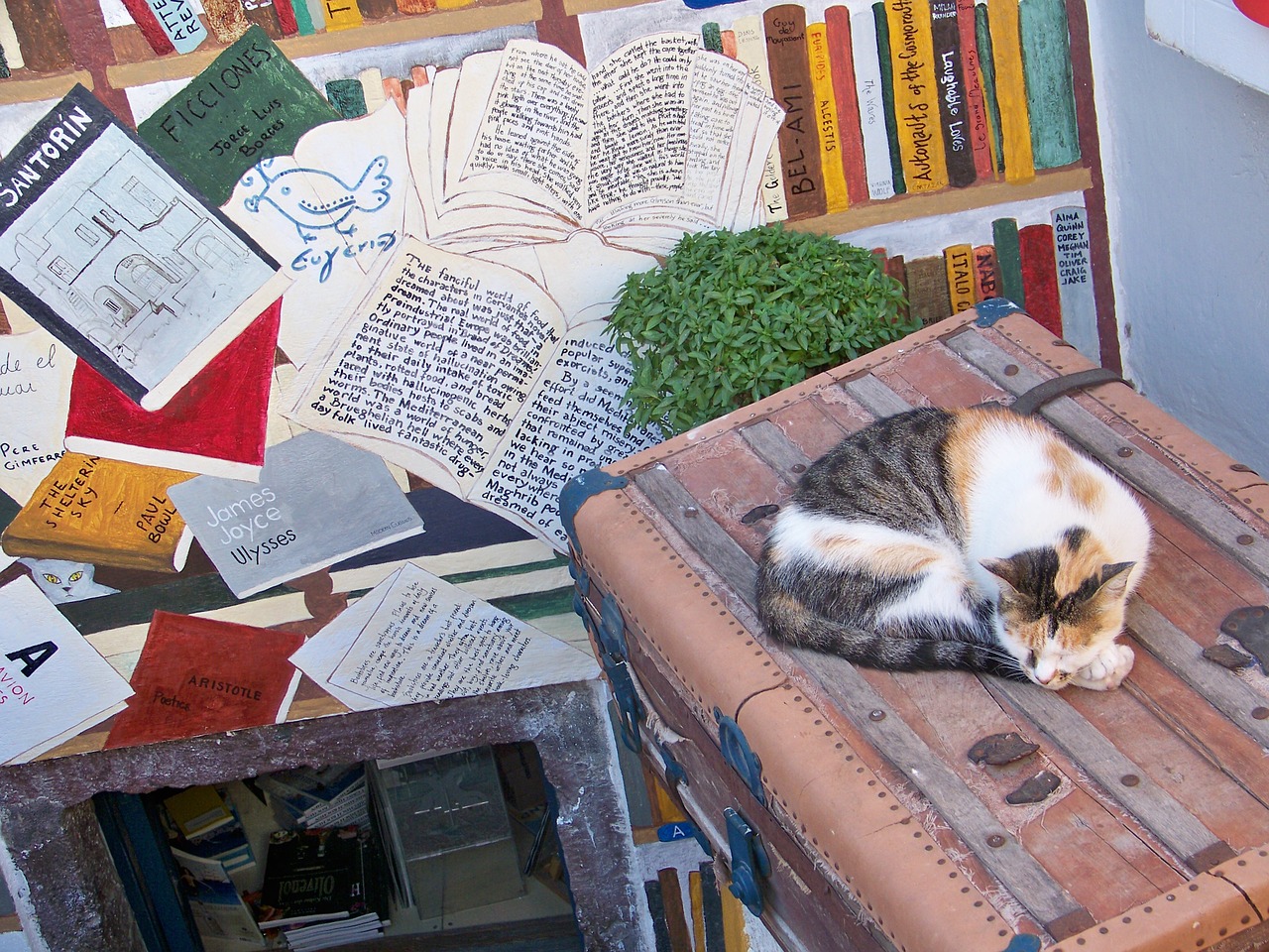 cat santorini books free photo