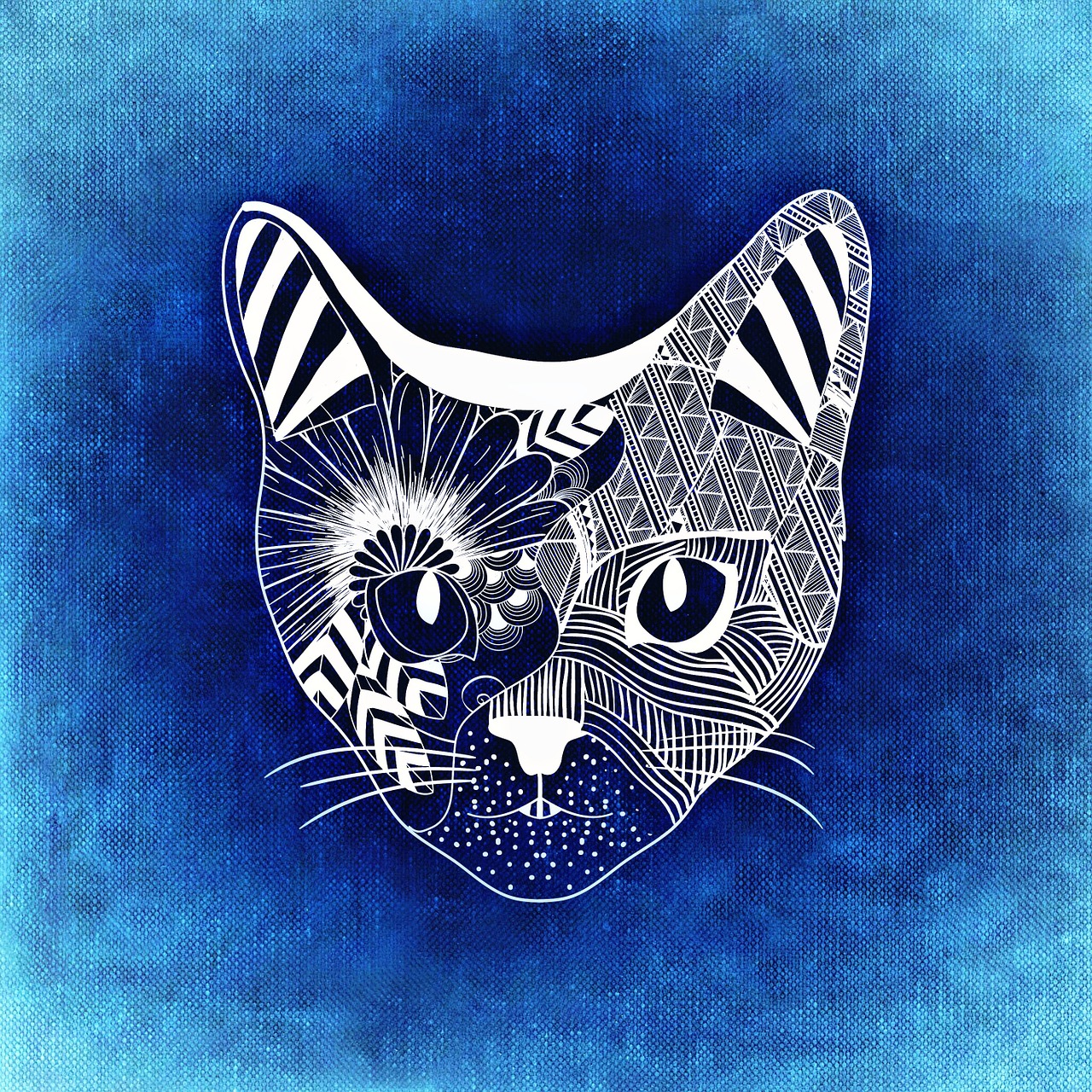 cat abstract background free photo