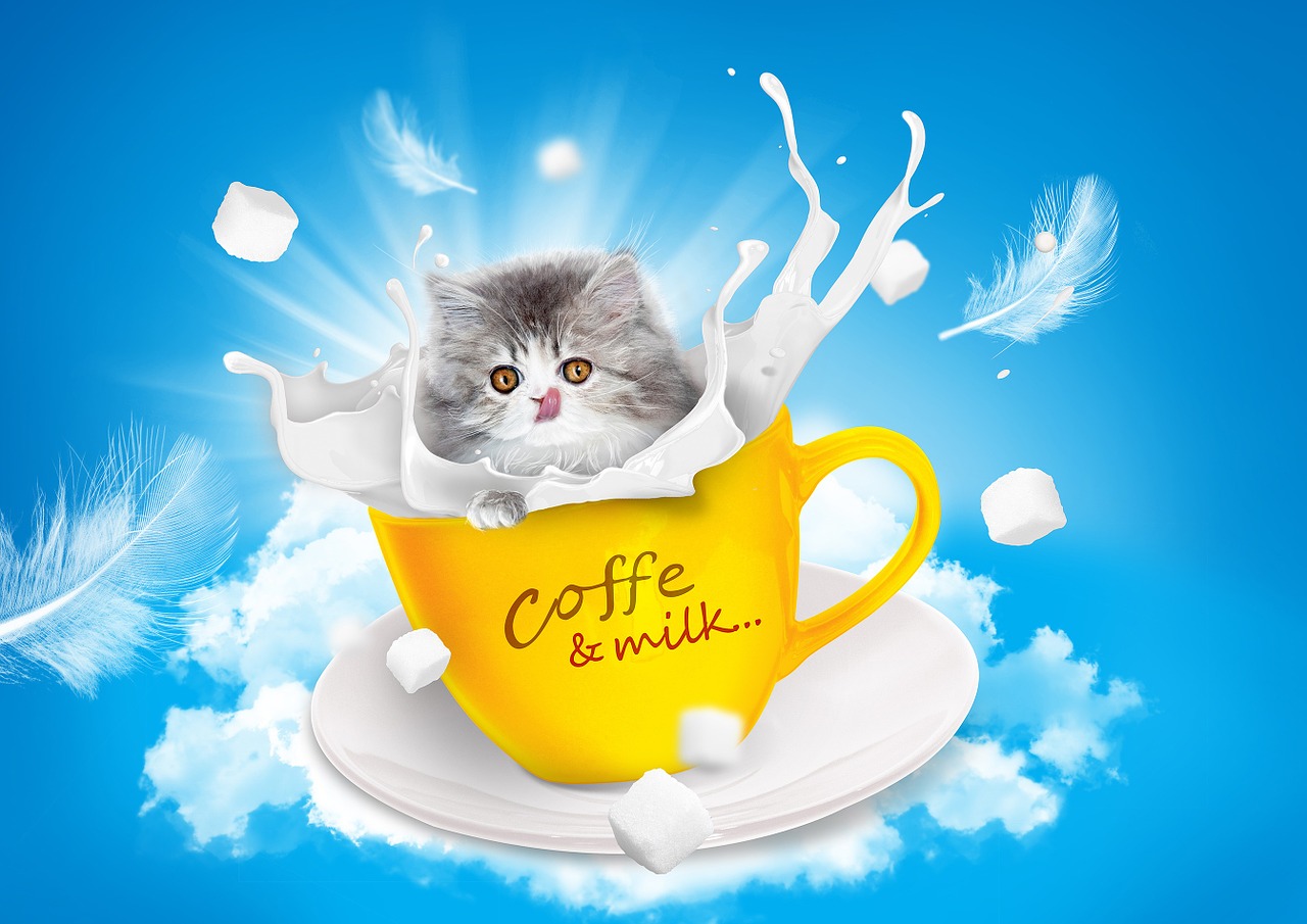 cat milk teacup free photo