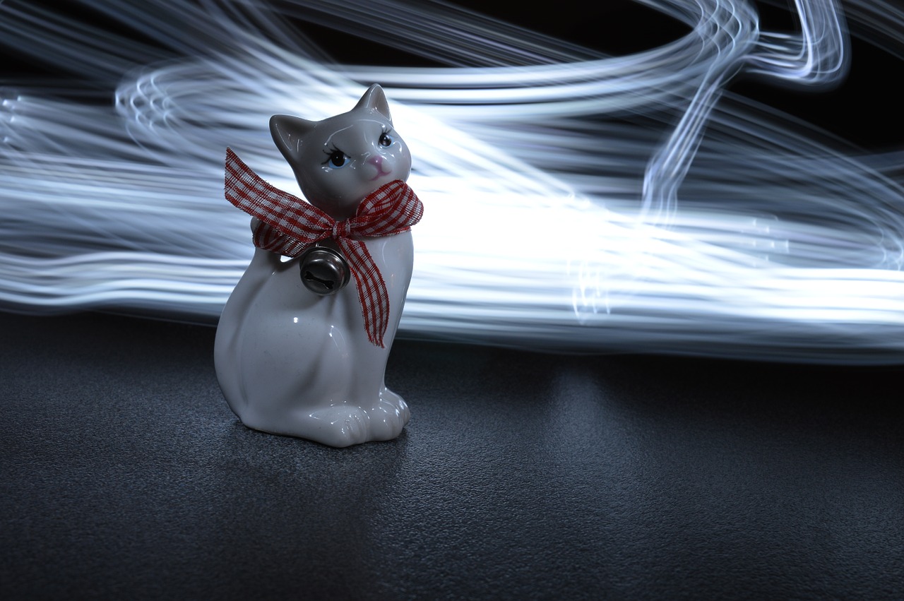 cat light painting free photo