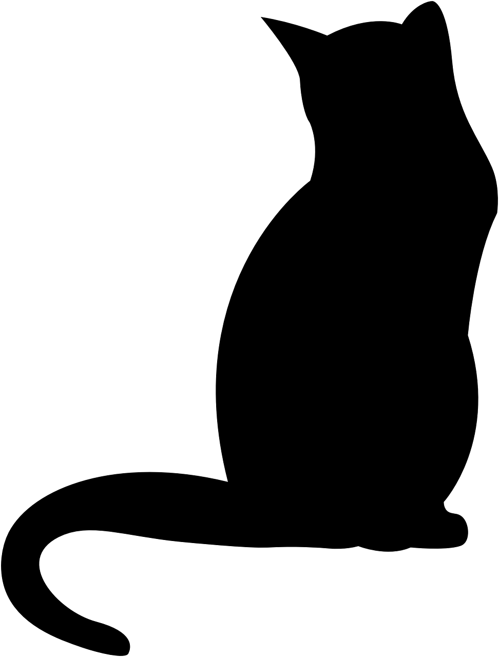 cat kitten silhouette free photo