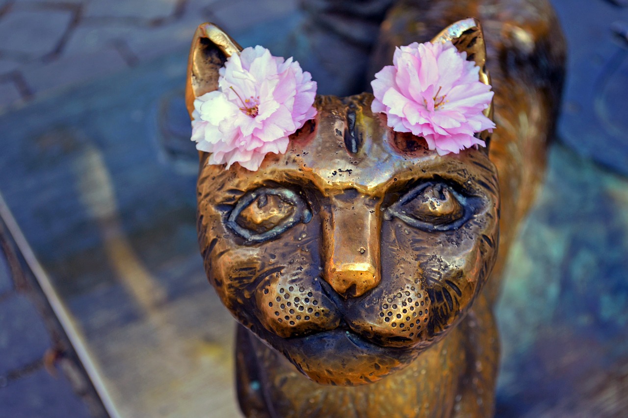 cat monument uzhgorod free photo