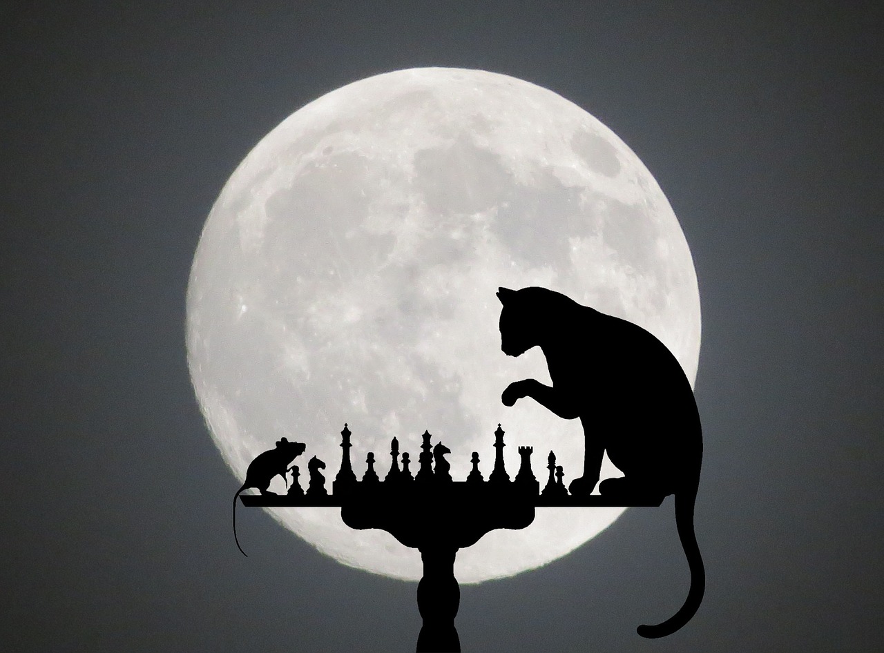 cat mouse silhouette free photo