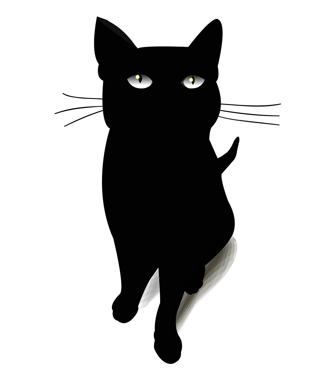 cat blackcat black cat free photo