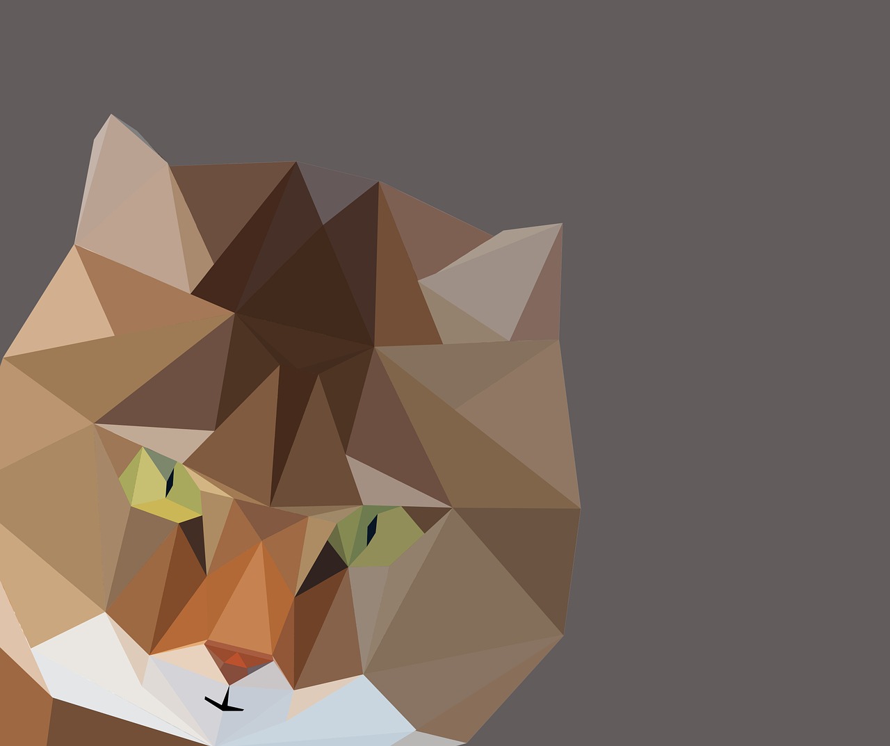 cat lowpoly low poly free photo