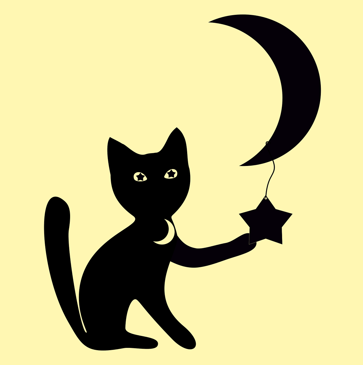 cat moon star free photo