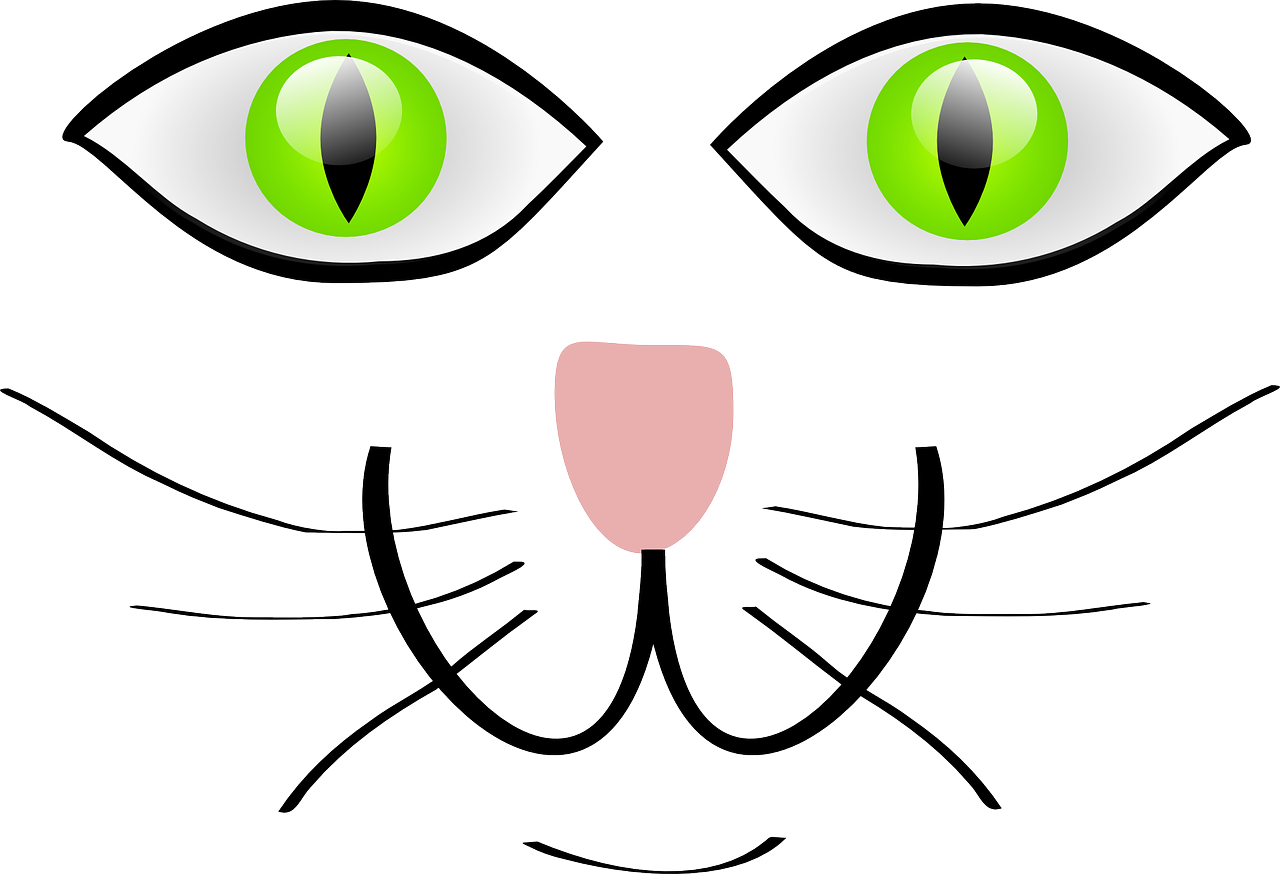 cat green eyes happy free photo