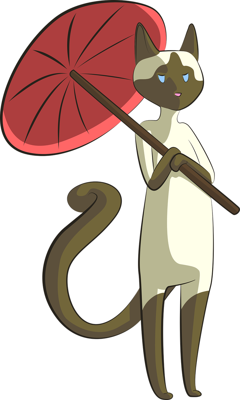 cat siamese umbrella free photo