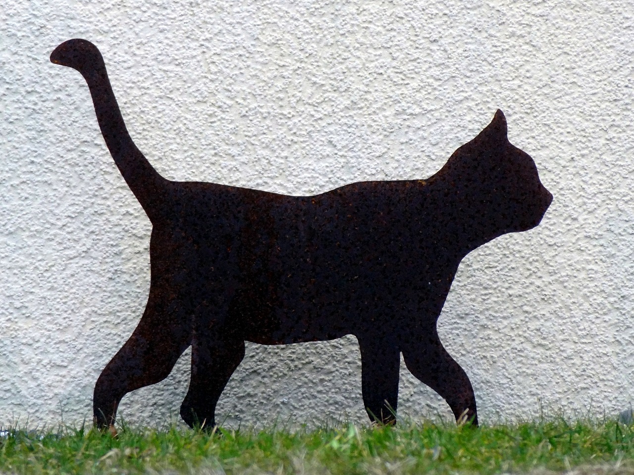 cat silhouette pet free photo