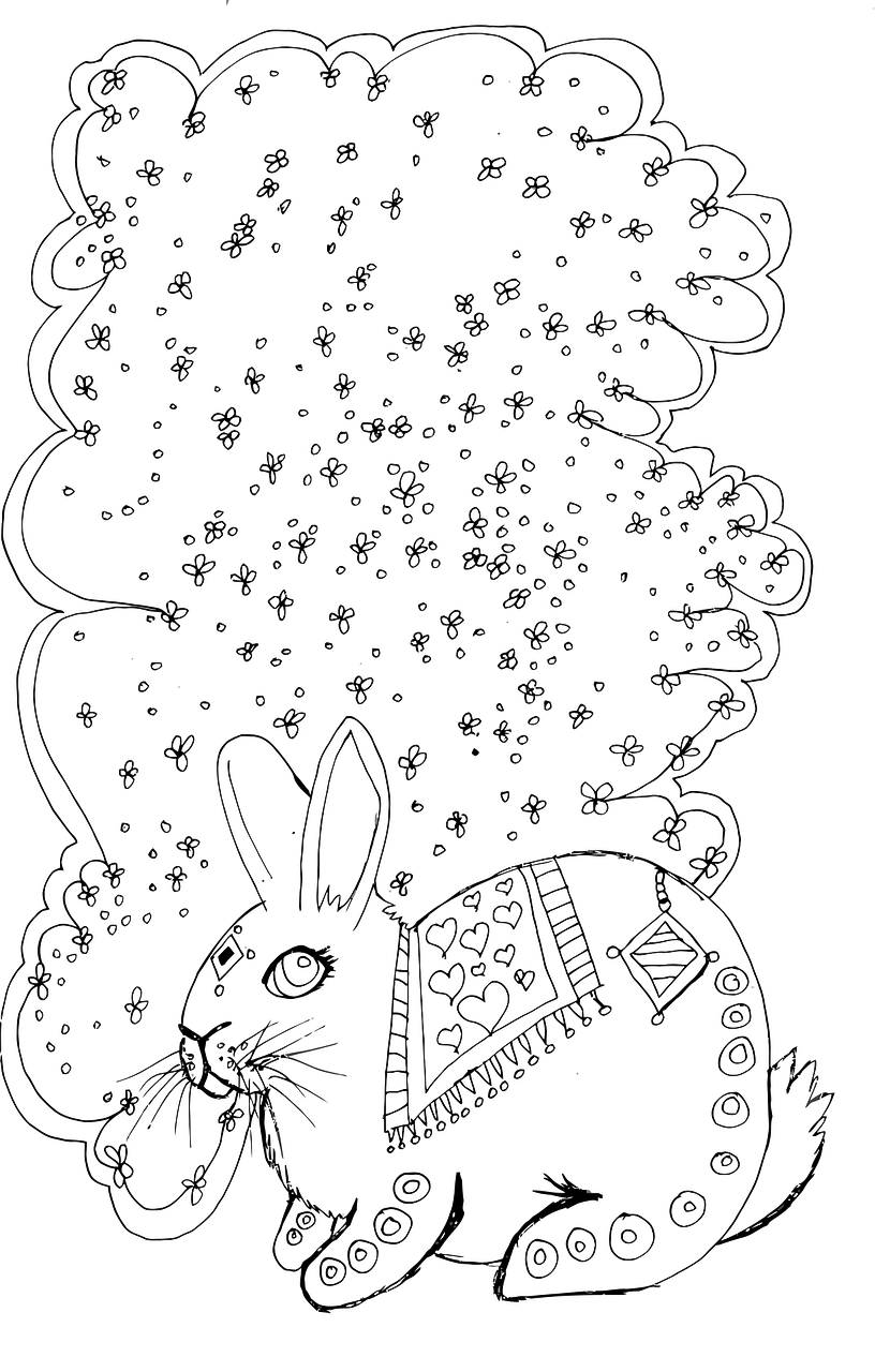 cat coloring page detailed free photo