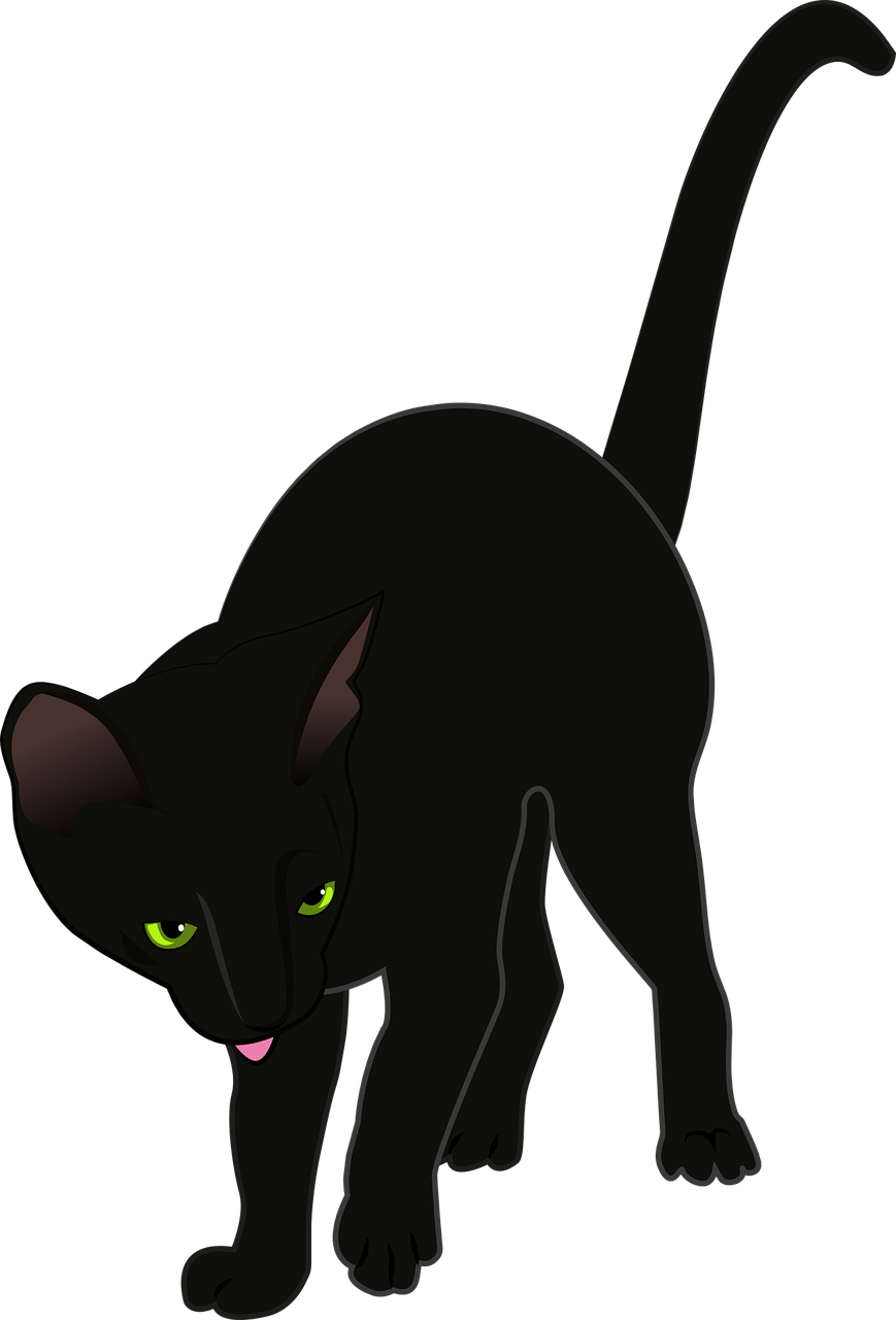 cat black vector free photo