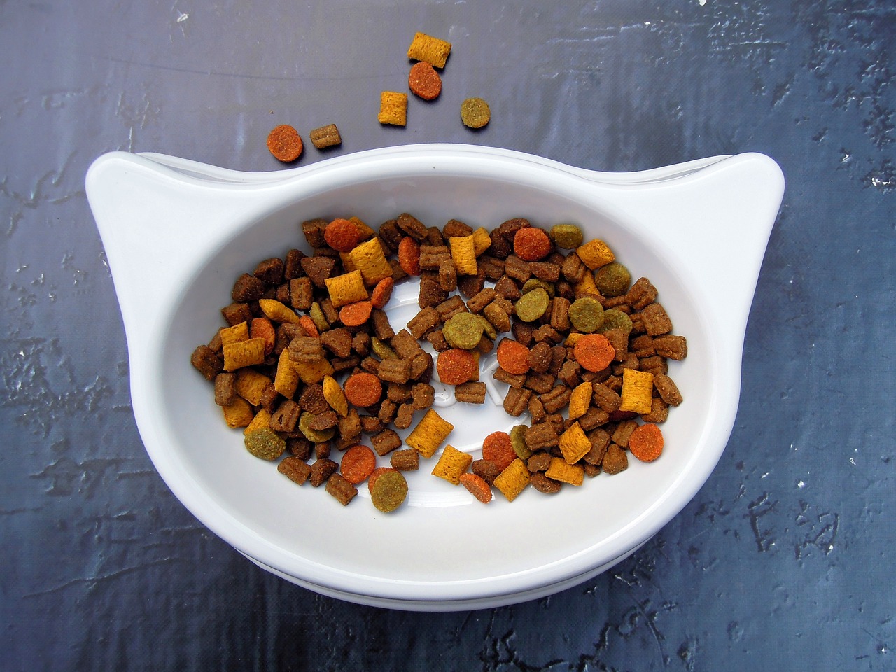 Cat,food,pet food,dry food,bowl - free image from needpix.com