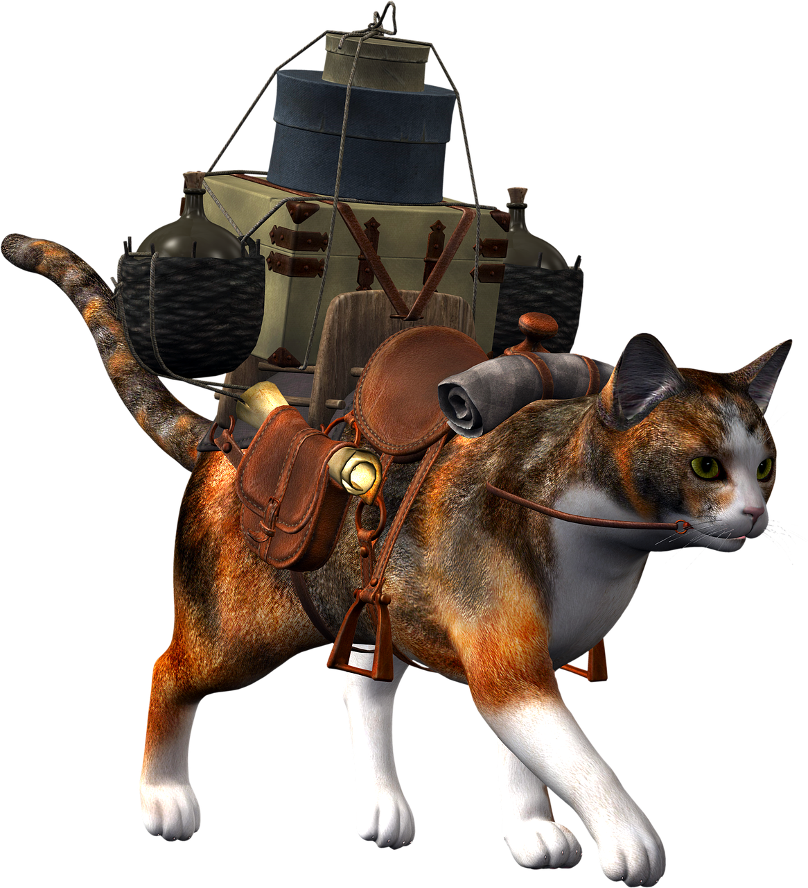 cat fantasy cat ride free photo