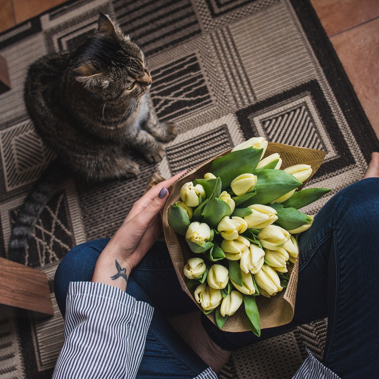 cat bouquet tulips free photo