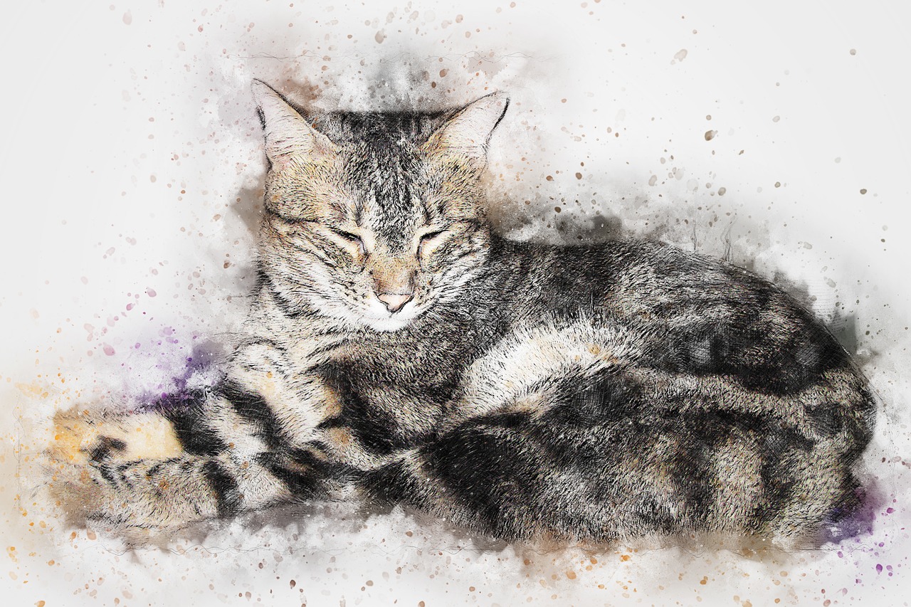 cat pet art free photo