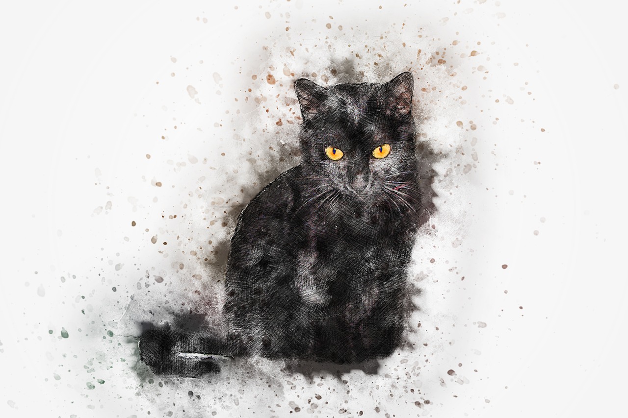 cat pet art free photo