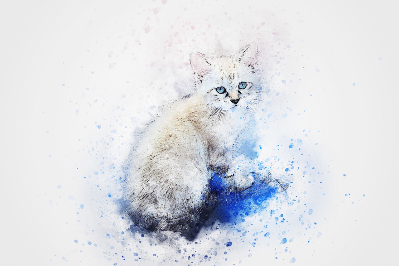 cat animal art free photo