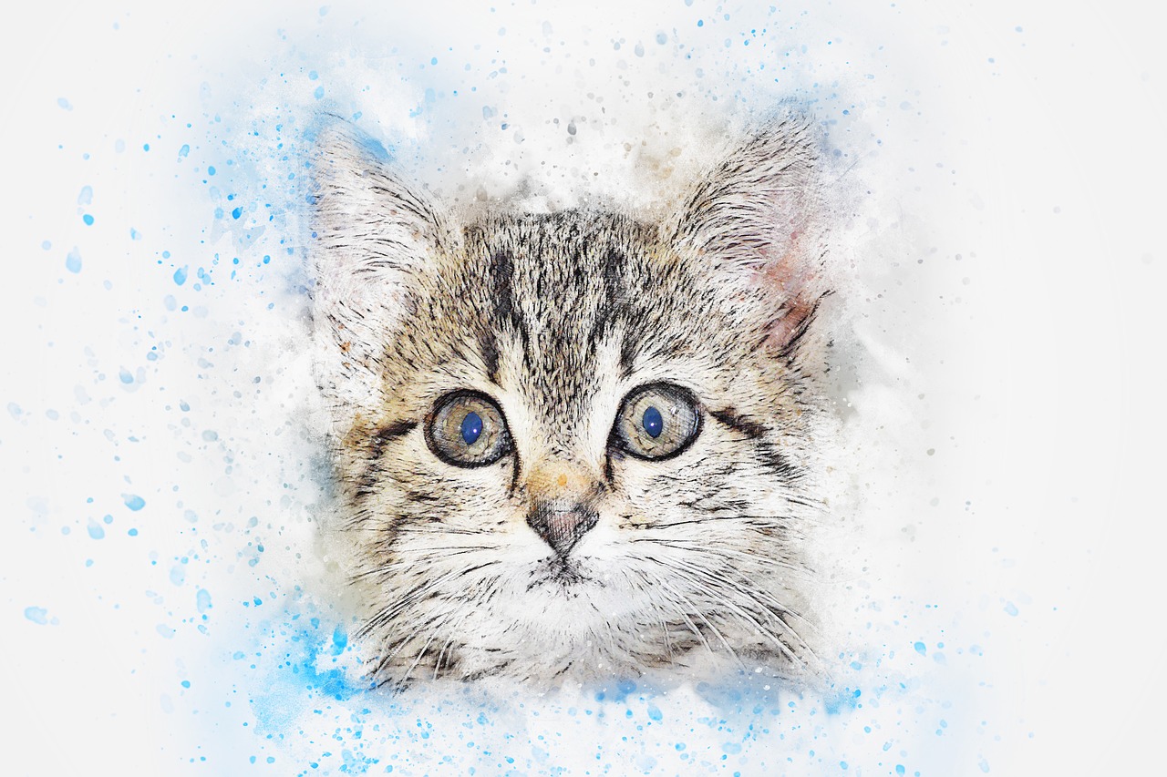 cat animal art free photo