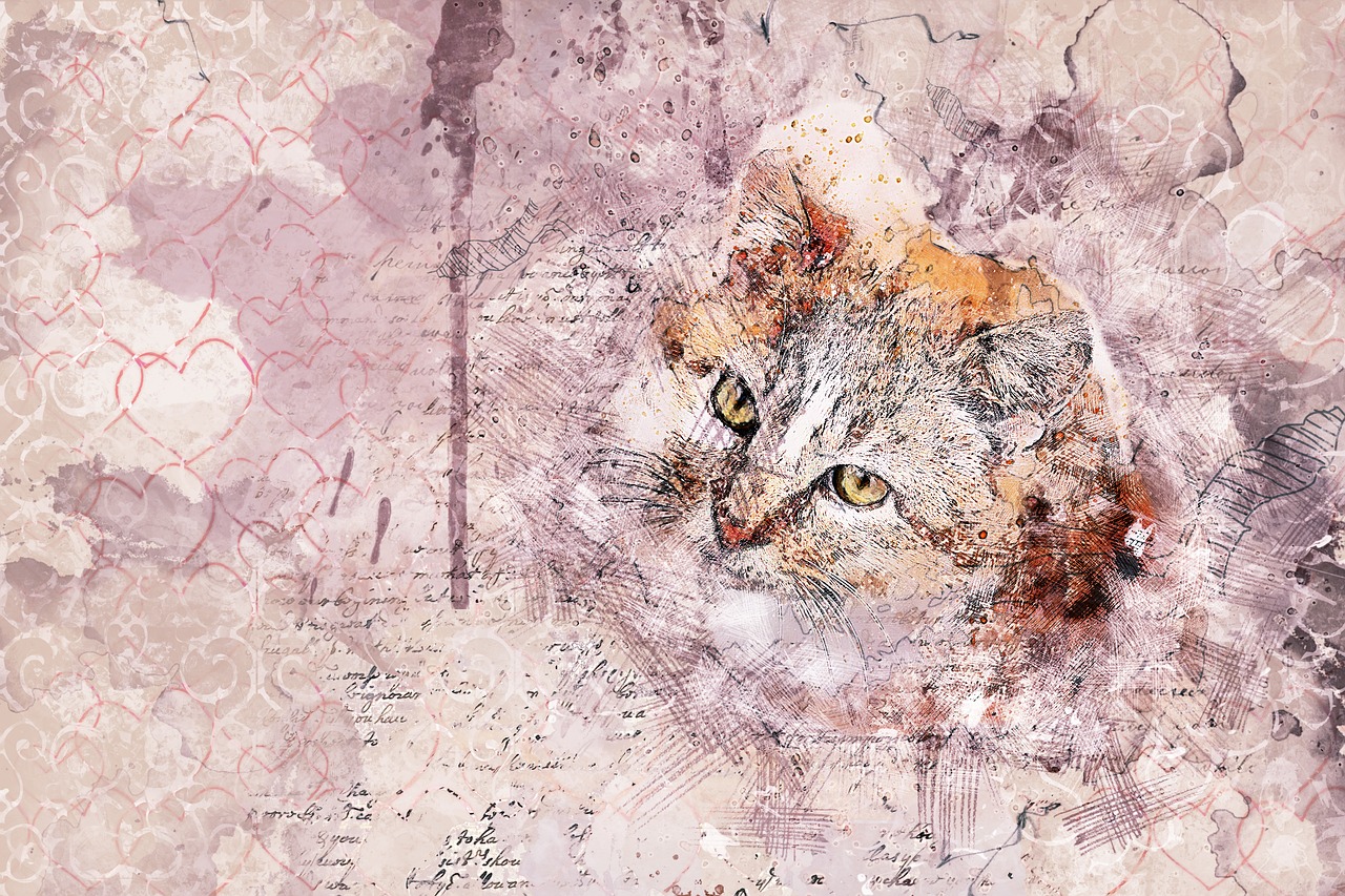 cat art abstract free photo