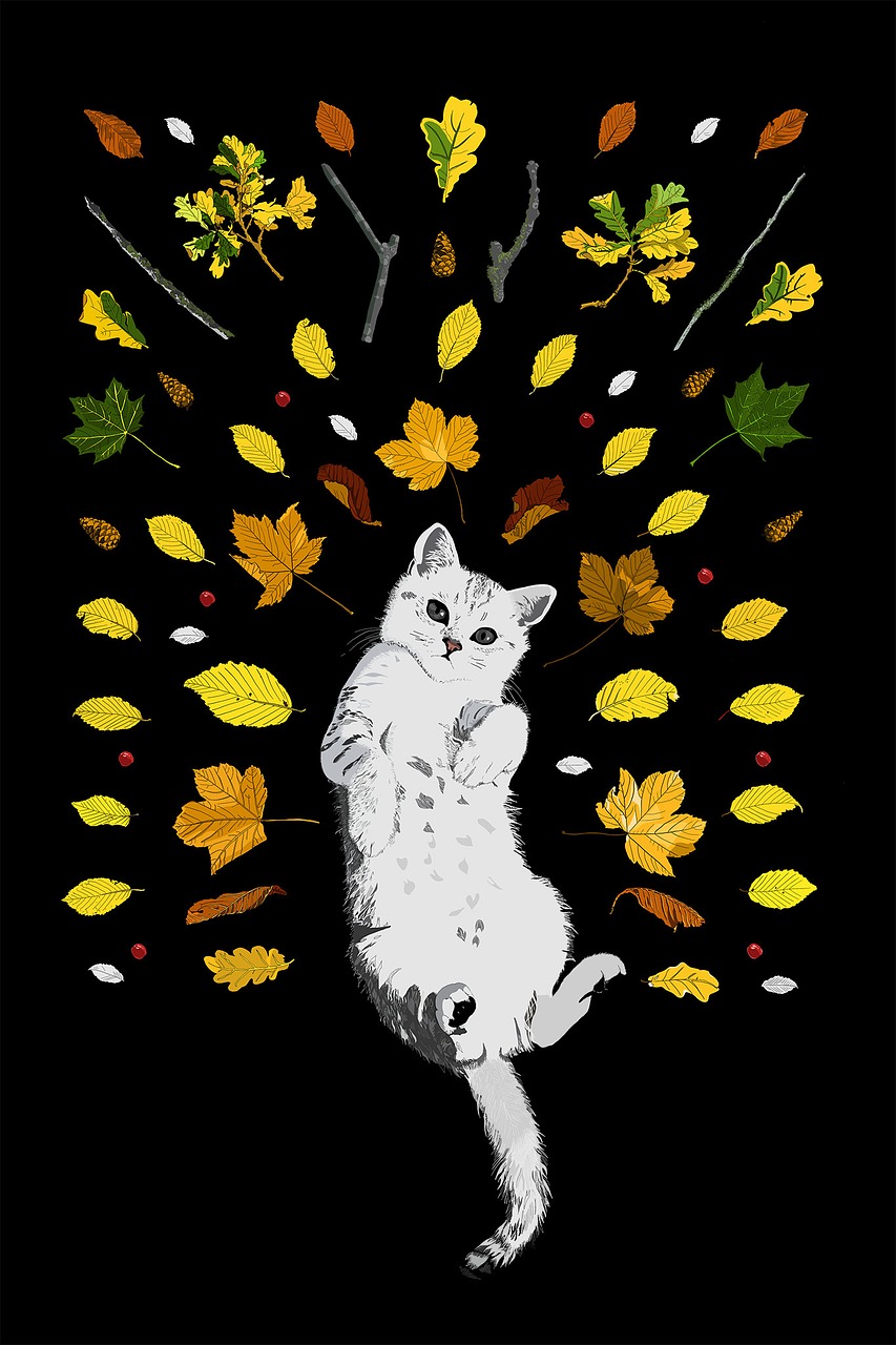 cat autumn kitten free photo