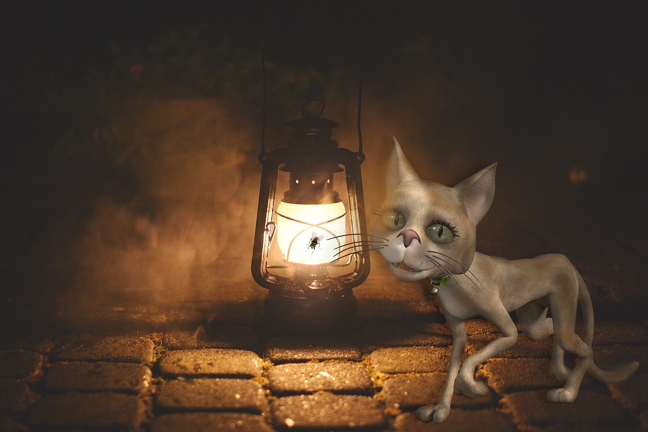 cat replacement lamp lighting free photo