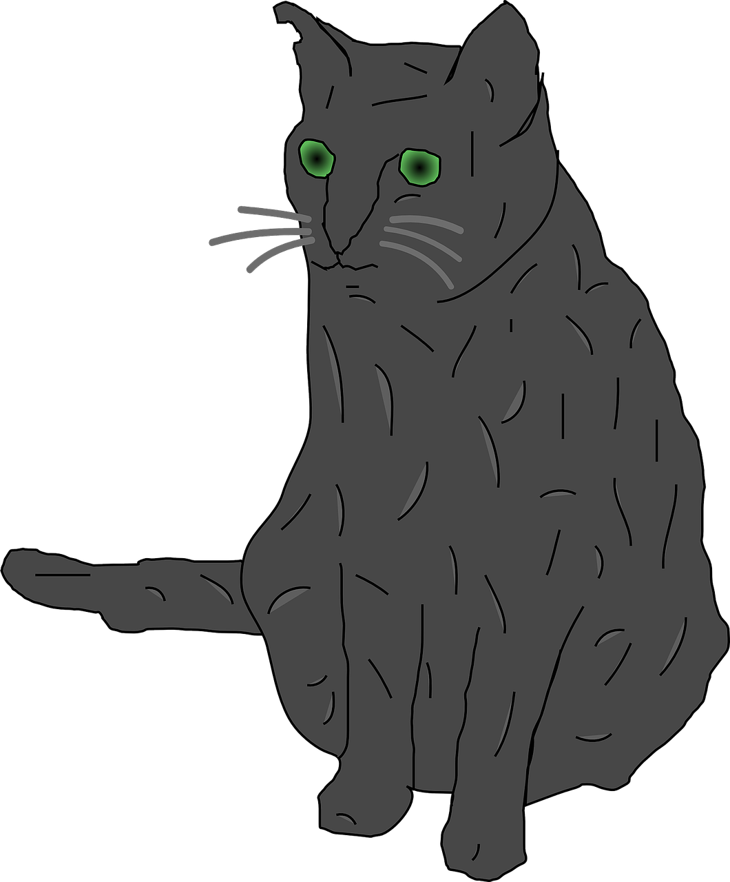 cat grey green eyed free photo