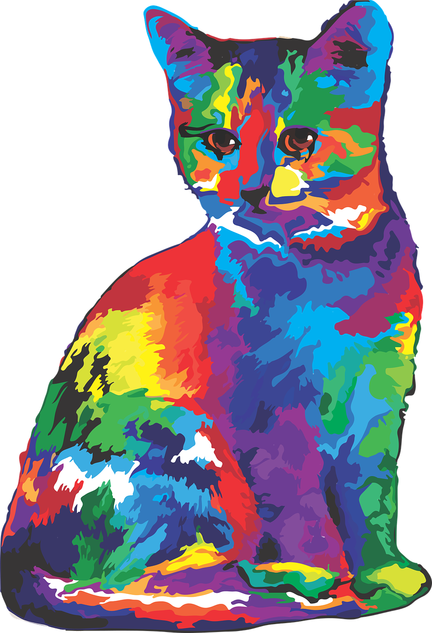 cat  rainbow  colorful free photo