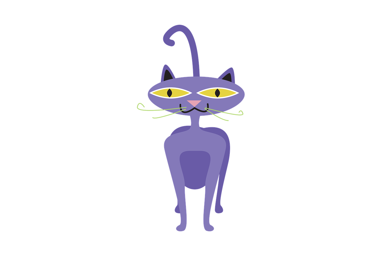 cat  clipart  animal free photo